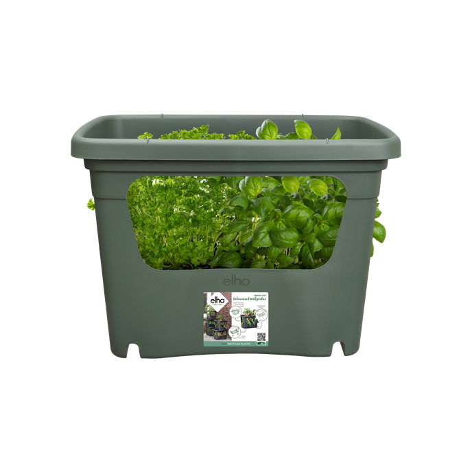 green basics stack & grow large leaf green
